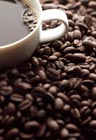 Coffee Trivia: Drink It In!