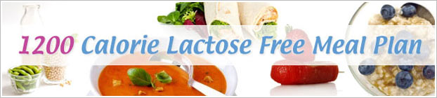 lactose free meal plan