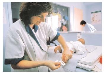The Guthrie test, given to newborns, helps doctors diagnose some inborn errors of metabolism before they cause permanent damage. The test requires a small sample of blood, usually taken from the heel. [Garo/Photo Researchers, Inc. Reproduced by permission.]