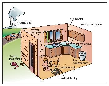 Lead is commonly found in and around the home, especially in older homes. Children are especially susceptible to lead poisoning, since they absorb lead more readily than adults. Even minor exposure to lead can severely affect a child's development. [Electronic Illustrators Group. Reproduced by permission.]