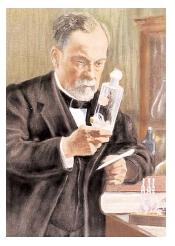 Hailed as the founder of microbiology, Louis Pasteur contributed immensely to the fields of medicine and food safety. He invented pasteurization, which prevents food spoilage, and he developed the technique of vaccination. [Bettman/Corbis. Reproduced by permission.]