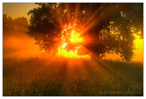 AnewBeginning