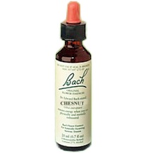Nelson Bach Original Flower Essences Sweet Chesnut
