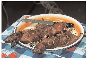 south americans diet of south americans diet of