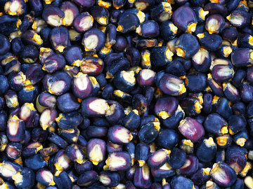 Blue Corn Bread