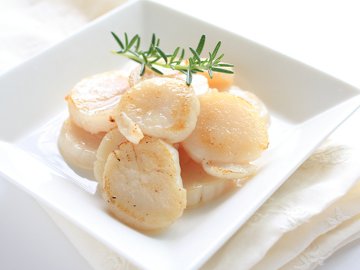 Seared Scallops - Lactose Free