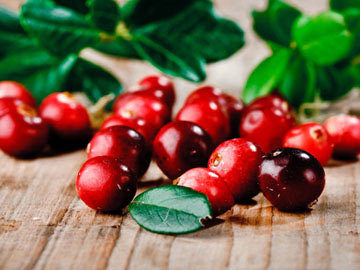 Cranberry and Wild Rice Salad