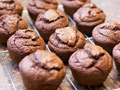 Chocolate Muffins